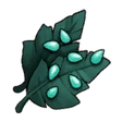 Mourning Lily Seed
