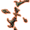 Oaksong Shard
