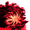 Blood Corpse Pile