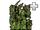 Ivy