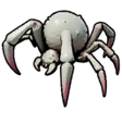 Spiderling