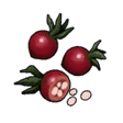 Blood Rose Seed