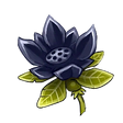 Highland Lotus
