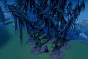 Gloomy Tree