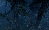 A regular tree in Gloomrot North.