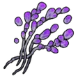 Trippy Spores