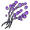 Trippy Spores