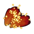 Fire Blossom Seed