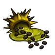 Plague Brier Seeds