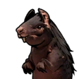 Giant Rat